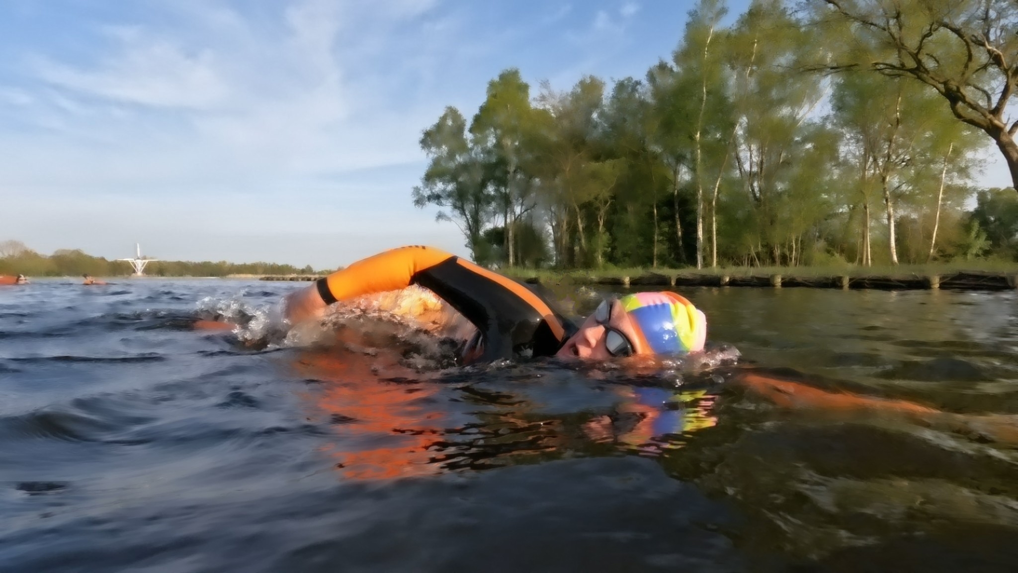 Afbeelding van Anita  Lubbers 