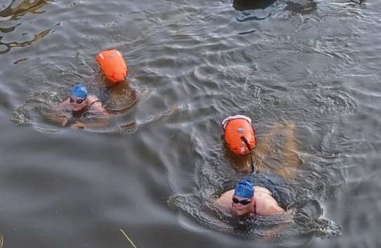 Afbeelding van Fokje  Kooistra 