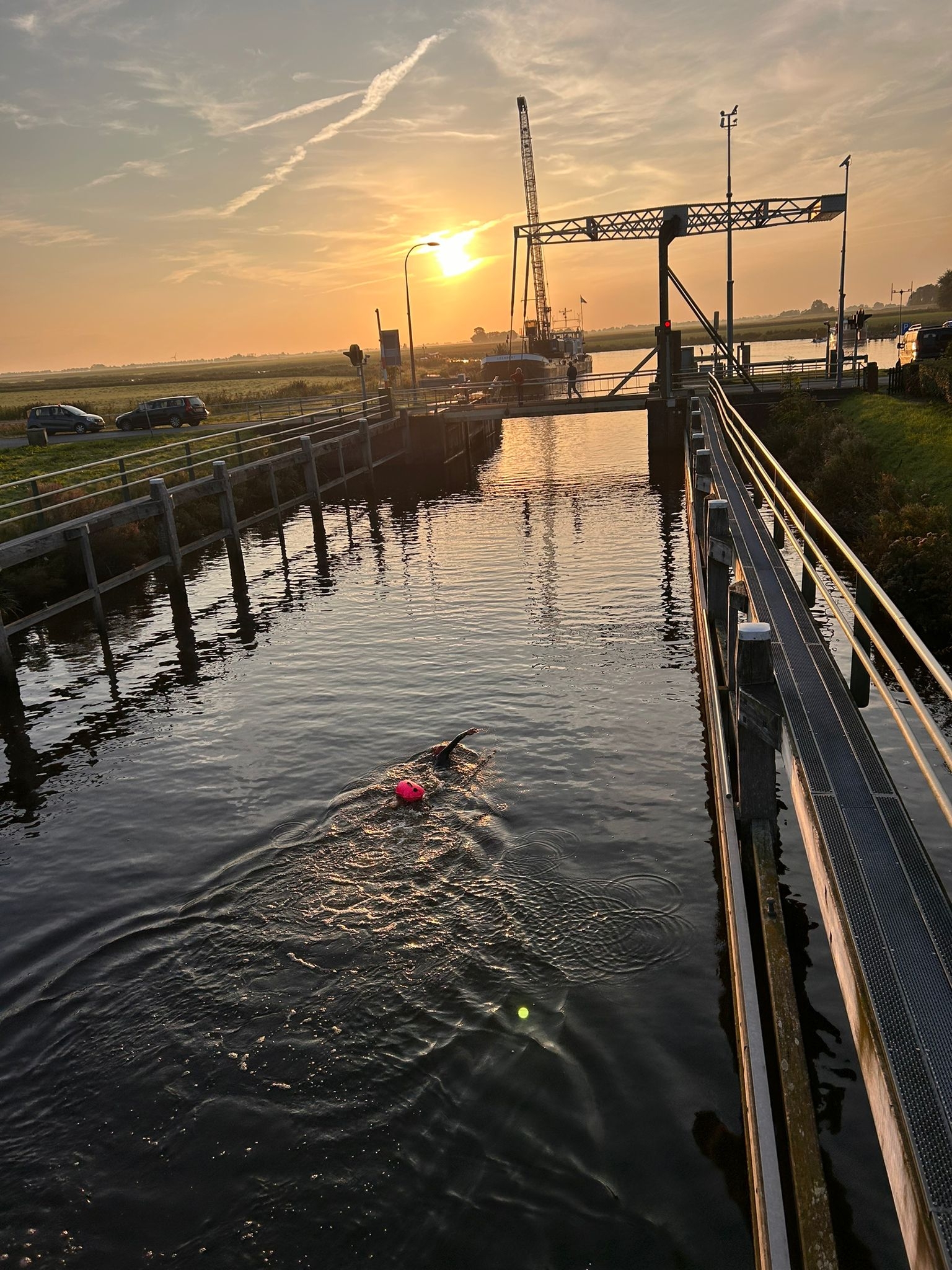 Afbeelding van Femke Schaart
