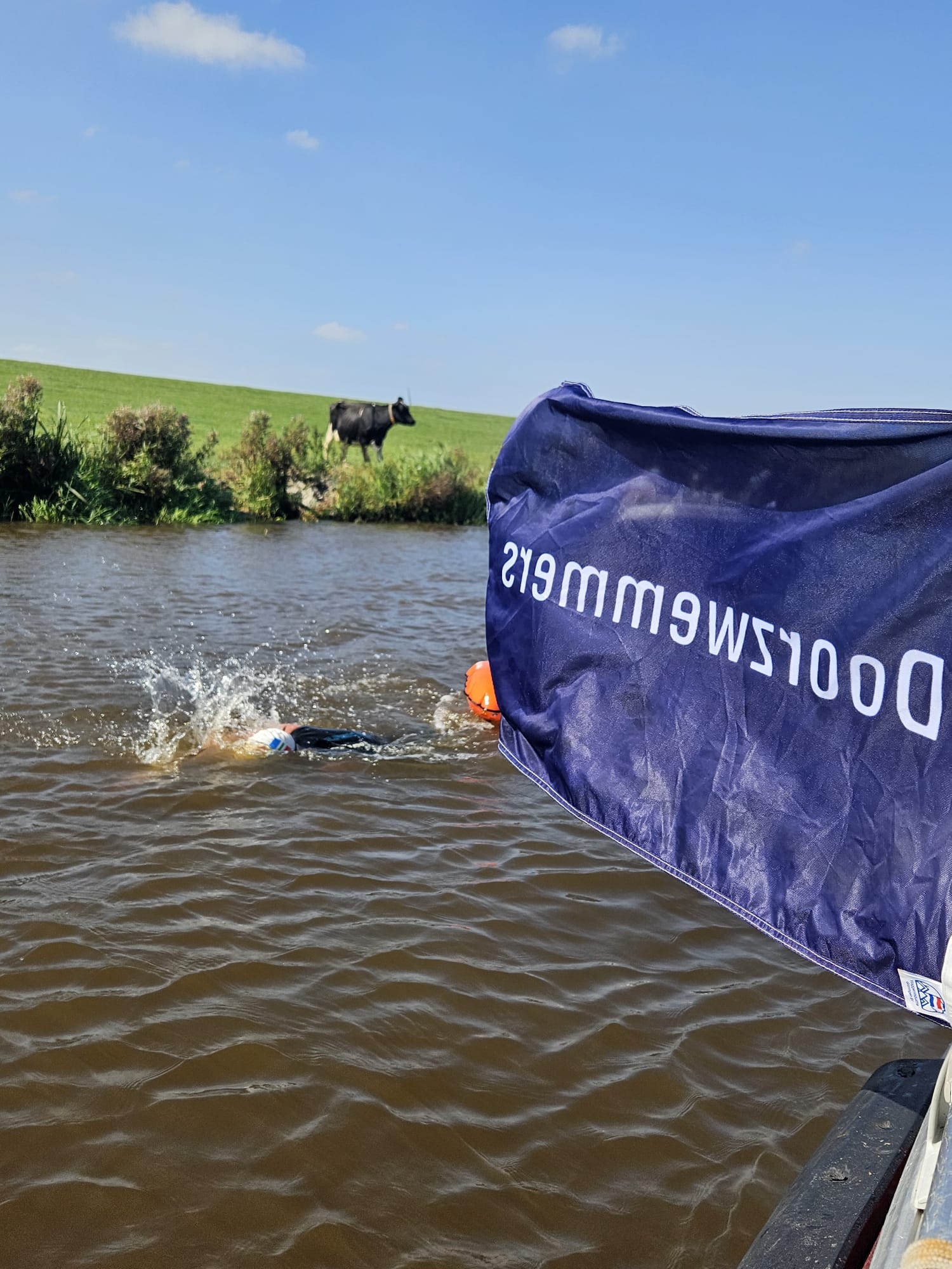 Afbeelding van Doorzwemmers